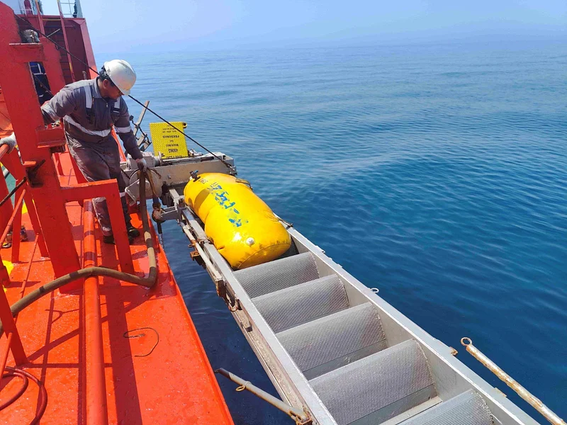 Accommodation Ladder & Commercial Crane Service Executed at Porto Romano, Albania