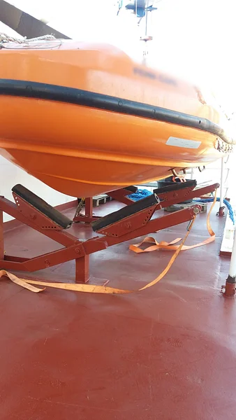 Rescue Boat Annual Inspection on 17/01/2025 in Piombino, Italy 🌍